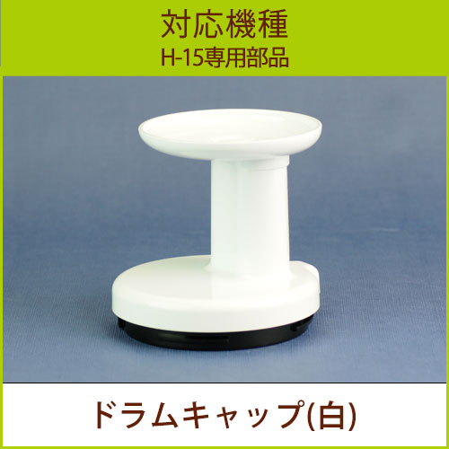 �ɥ�७��åף��ġ��ۥ磻�ȡ�H15���ʡ�
