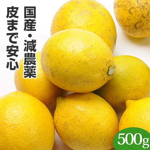 訳あり佐賀県産レモン 500g（化学肥料不使用）【ピカイチ野菜くん】