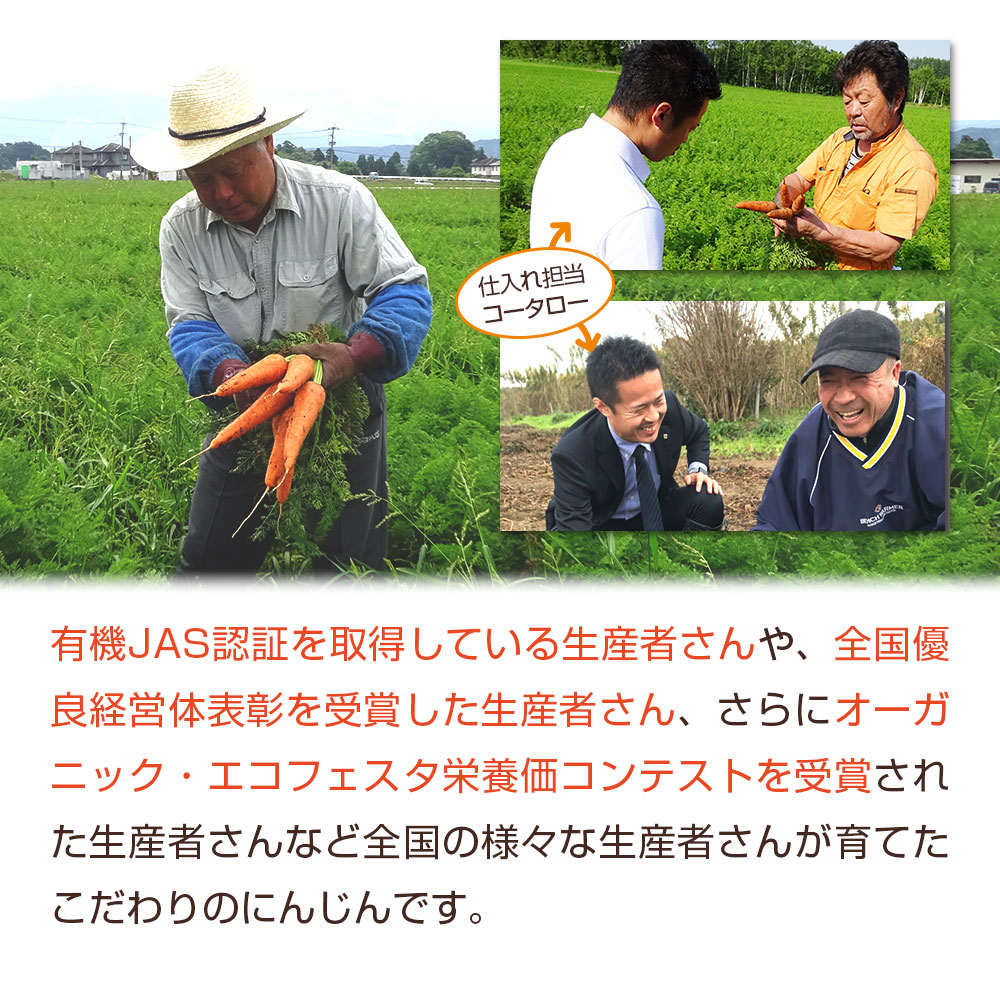  ̵źÿͻ塼 ˤ󤸤󤴥󥸥塼  1Ȣ (100ml15ѥå)