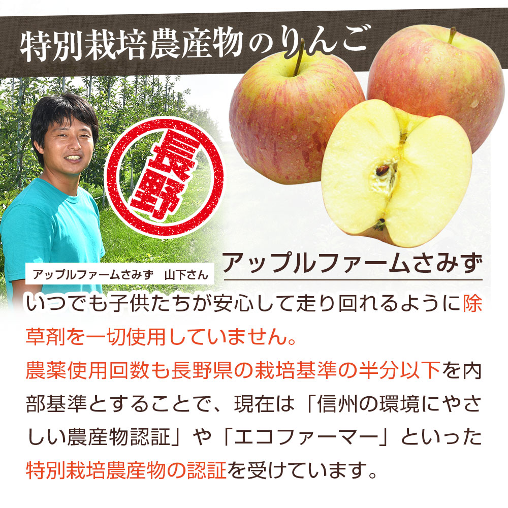  ̵źÿͻ塼 ˤ󤸤󤴥󥸥塼  1Ȣ (100ml15ѥå)