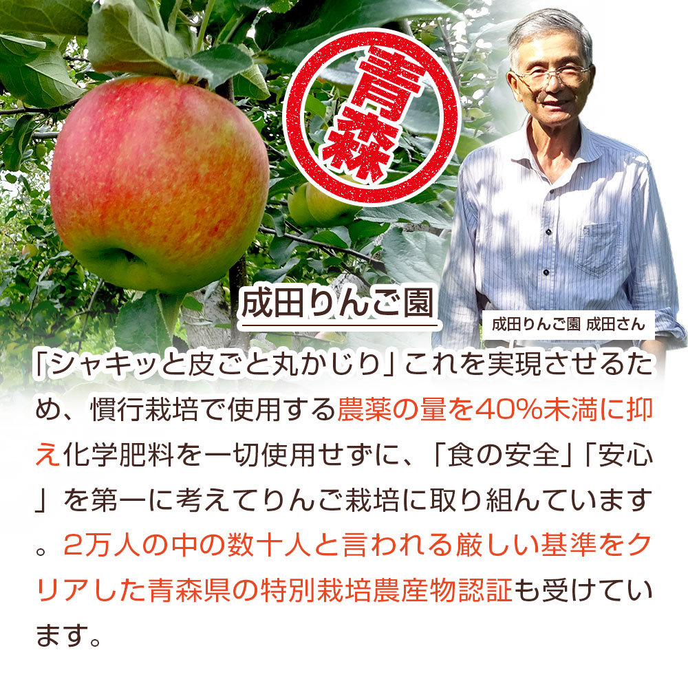  ̵źÿͻ塼 ˤ󤸤󤴥󥸥塼  1Ȣ (100ml15ѥå)