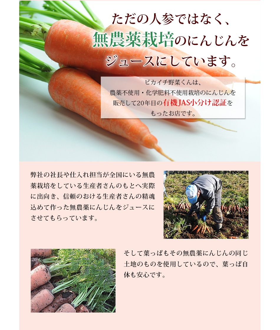  ̵źÿͻ塼 դäդˤ󤸤󥸥塼  1Ȣ (100ml15ѥå)