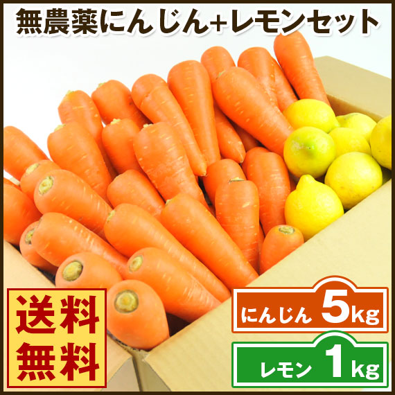 無農薬人参ジュース用セット（人参5kgレモン1kg）訳あり｜ピカイチ野菜くん