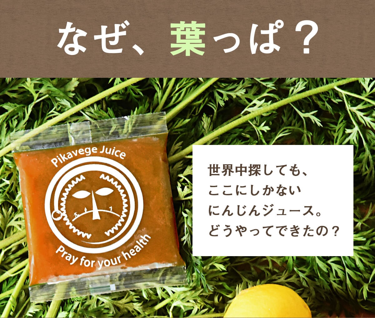  ̵źÿͻ塼 դäդˤ󤸤󥸥塼  1Ȣ (100ml30ѥå)