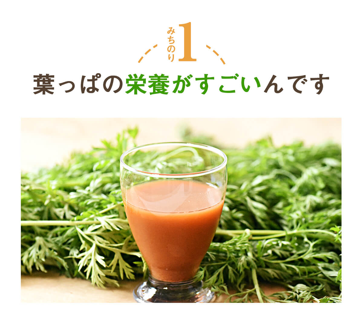  ̵źÿͻ塼 դäդˤ󤸤󥸥塼  1Ȣ (100ml30ѥå)