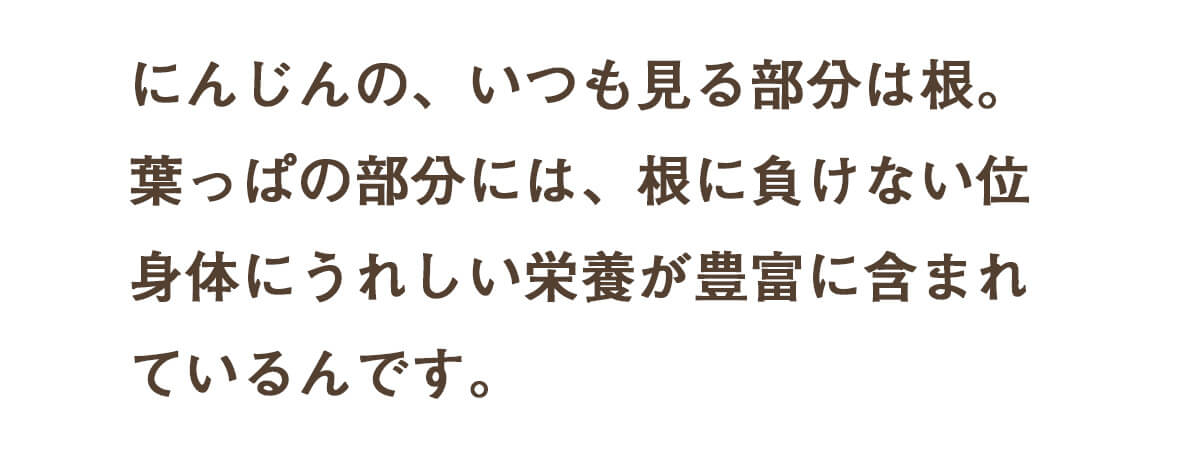  ̵źÿͻ塼 դäդˤ󤸤󥸥塼  1Ȣ (100ml30ѥå)