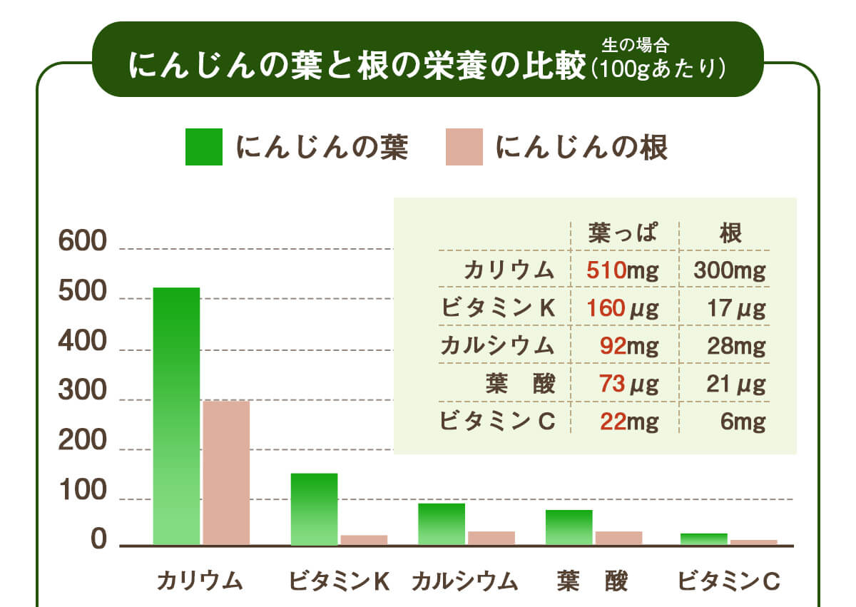  ̵źÿͻ塼 դäդˤ󤸤󥸥塼  1Ȣ (100ml30ѥå)
