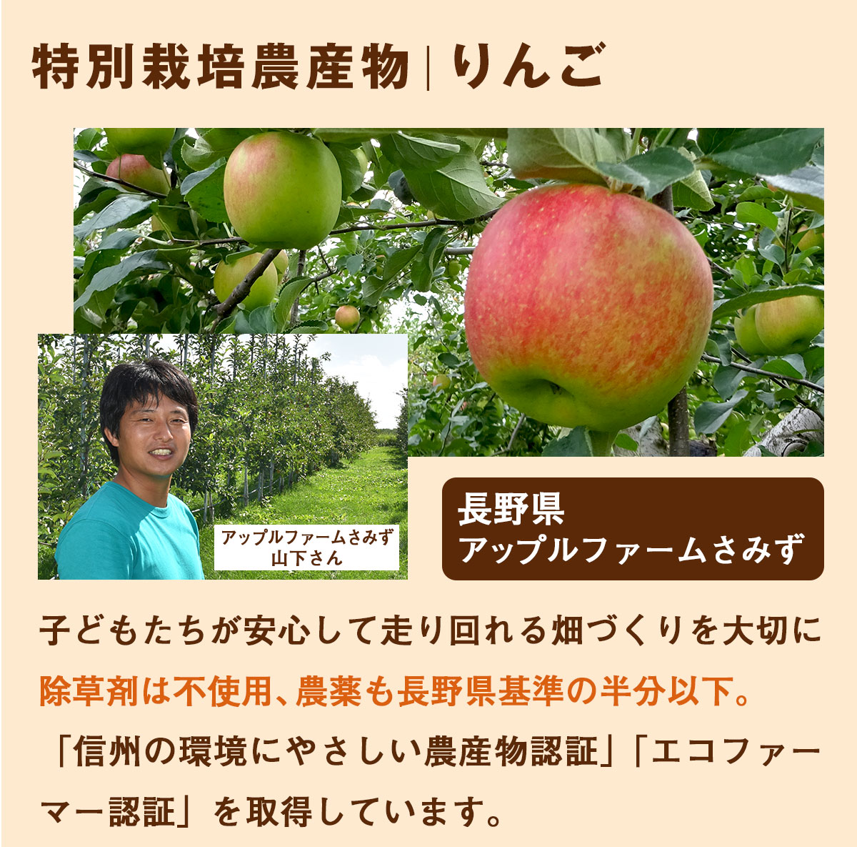 ̵ź�� �ͻ����塼�� �ˤ󤸤��󤴥��󥸥塼�� 1Ȣ (100ml��30�ѥå�)