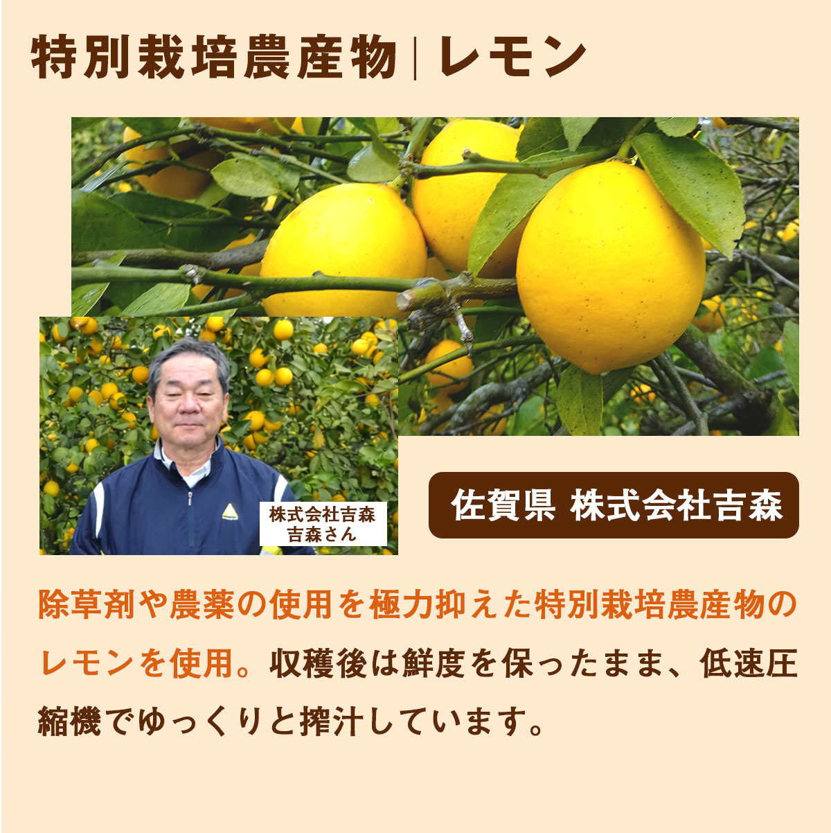 ̵ź�� �ͻ����塼�� �ˤ󤸤��󤴥��󥸥塼�� 1Ȣ (100ml��30�ѥå�)