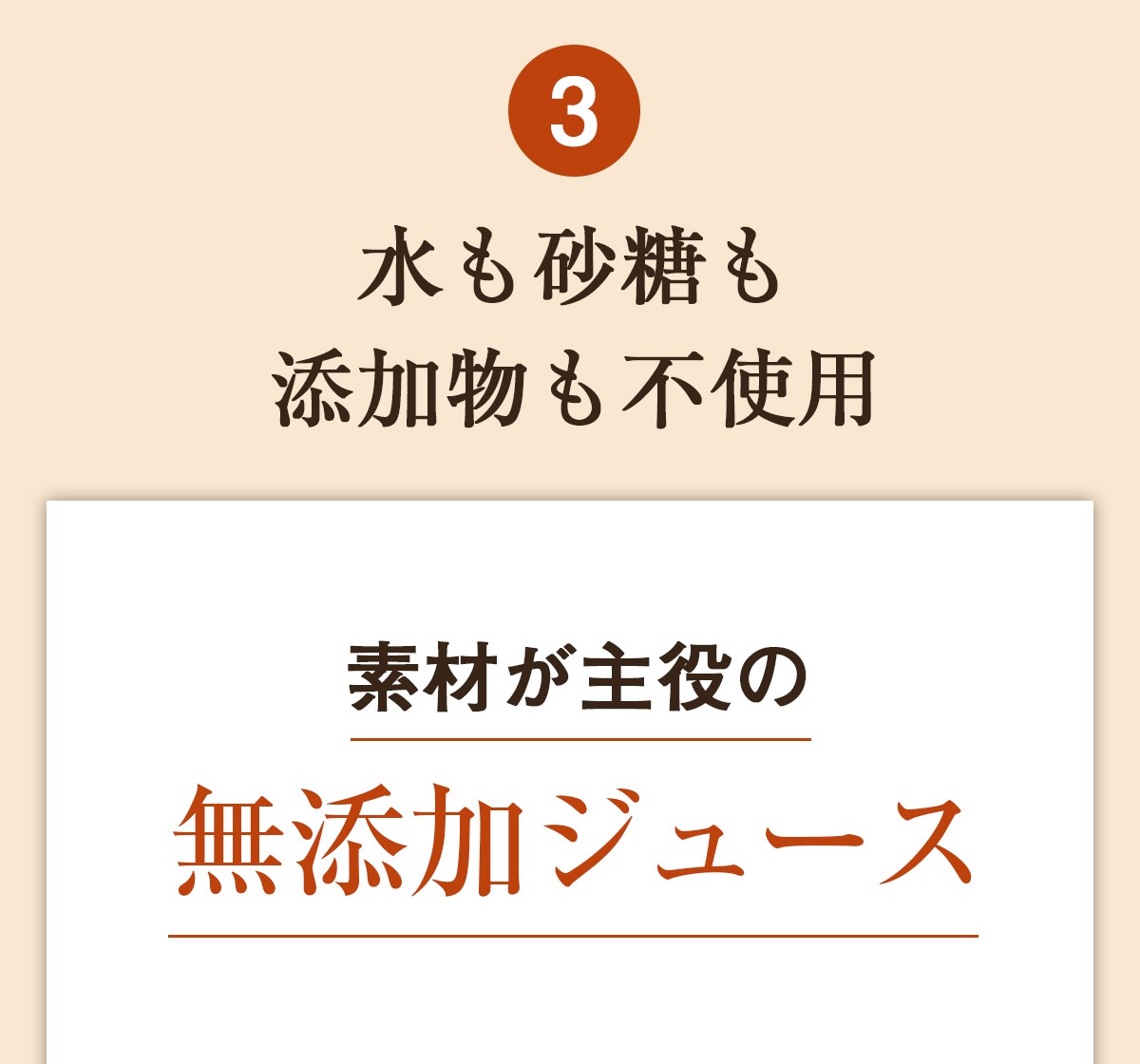 (եȡ£) ̵ź ͻ塼 ٥å 6