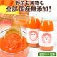 ̵ź�� �ͻ����塼�� ��������ˤ󤸤��󤴥��󥸥塼�� 200ml��10��