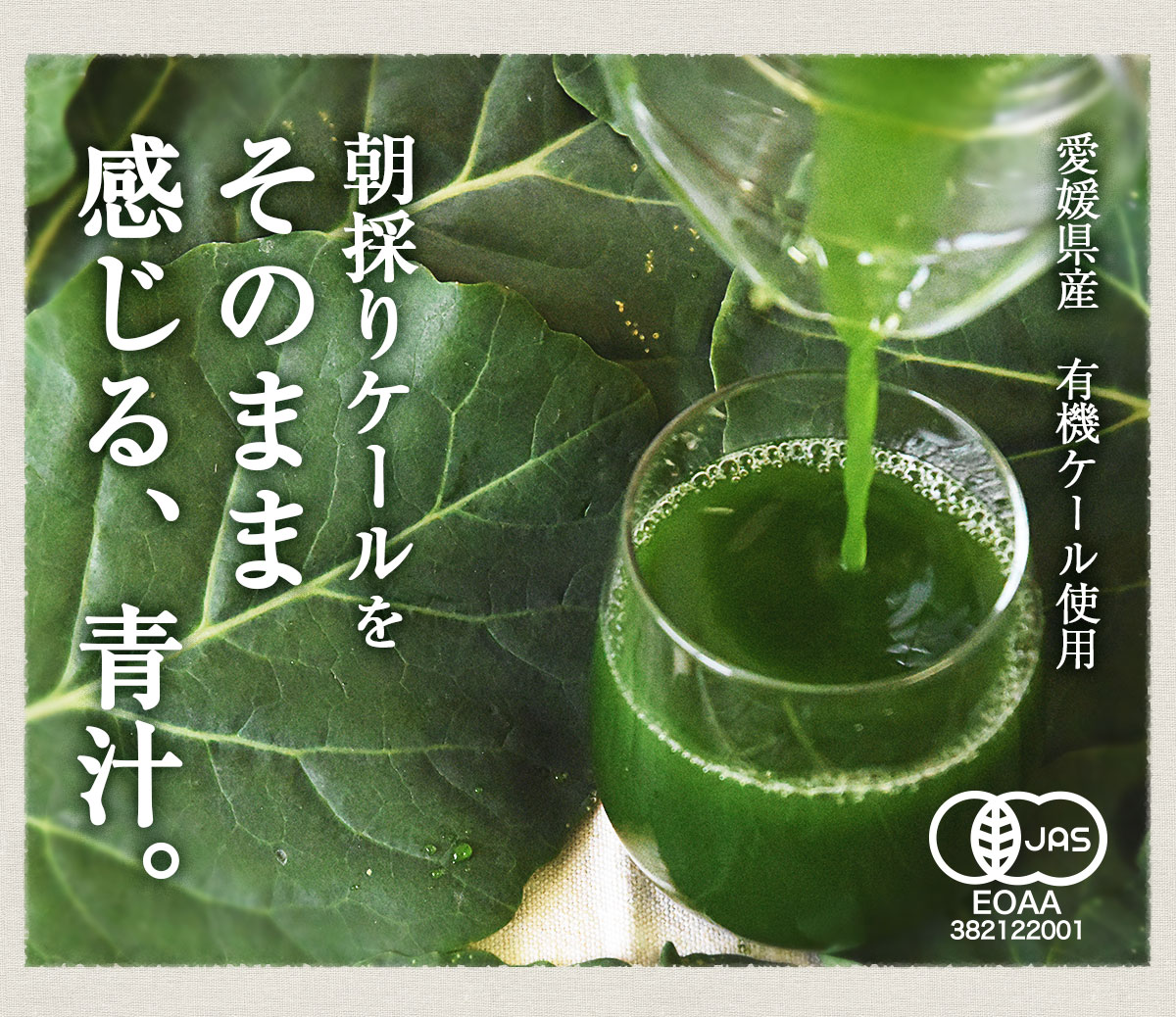 ̵ź  ͭȤ٤ĤĽ 1Ȣ (100ml30ѥå)