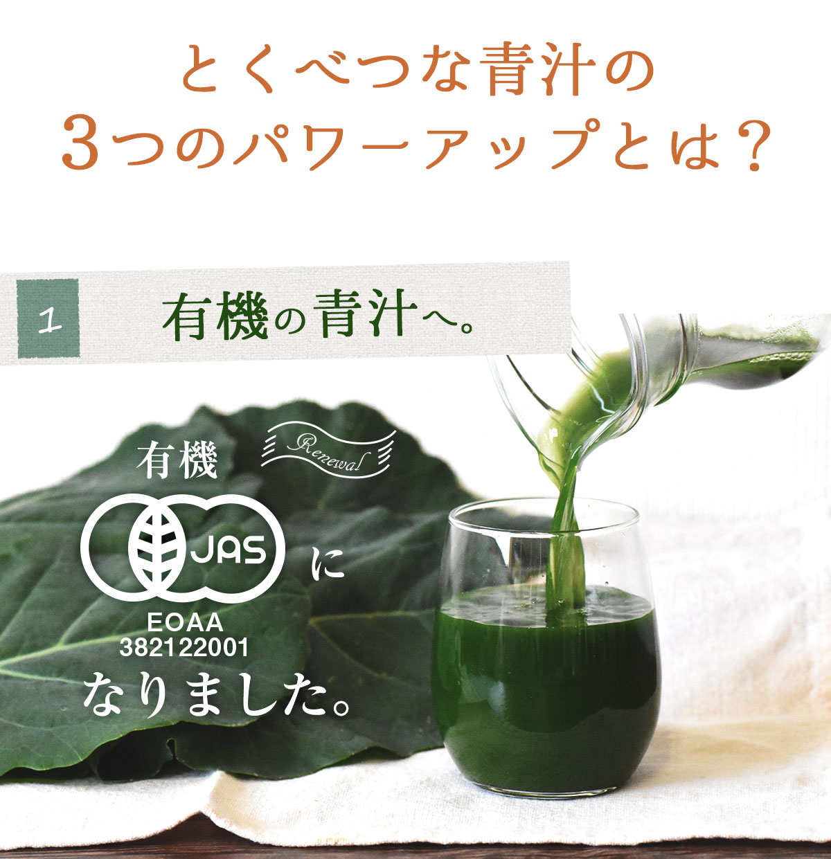 ̵ź  ͭȤ٤ĤĽ 1Ȣ (100ml30ѥå)