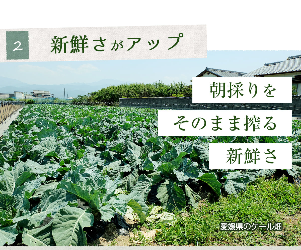 ̵ź  ͭȤ٤ĤĽ 1Ȣ (100ml30ѥå)