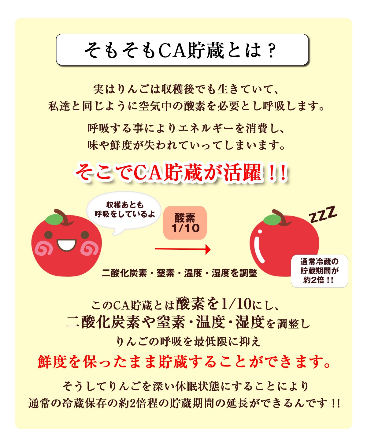 ڹ񻺡  Ŀ  10kg Ժ