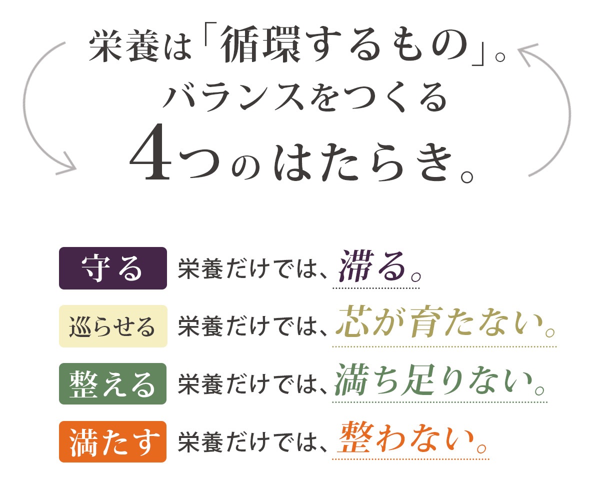 4ᤰꥸ塼å 100ml12ѥå ͻ塼 濴 ͤ碌 å