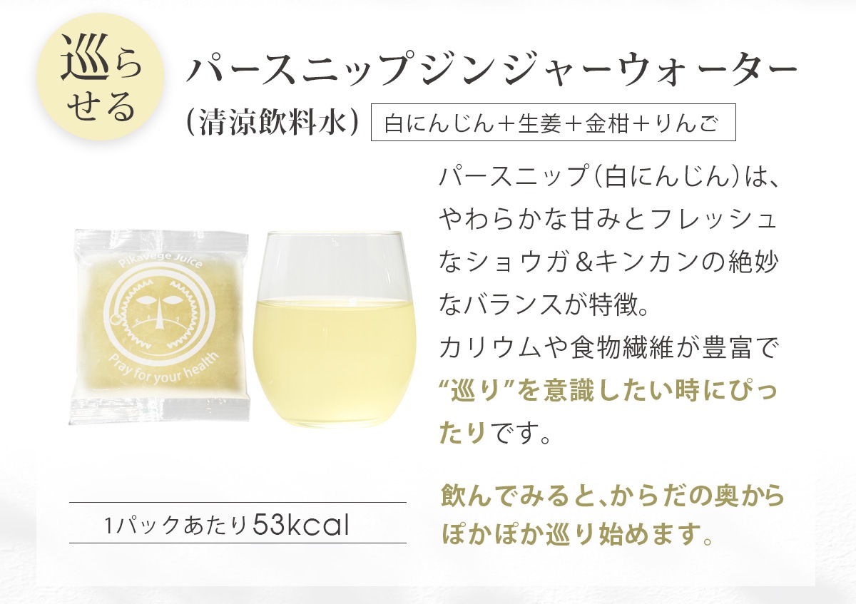 4ᤰꥸ塼å 100ml12ѥå ͻ塼 濴 ͤ碌 å