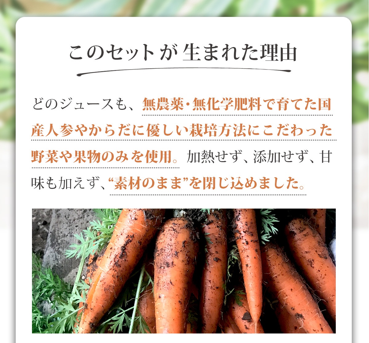 4ᤰꥸ塼å 100ml12ѥå ͻ塼 濴 ͤ碌 å