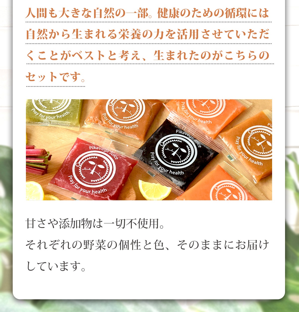 4ᤰꥸ塼å 100ml12ѥå ͻ塼 濴 ͤ碌 å