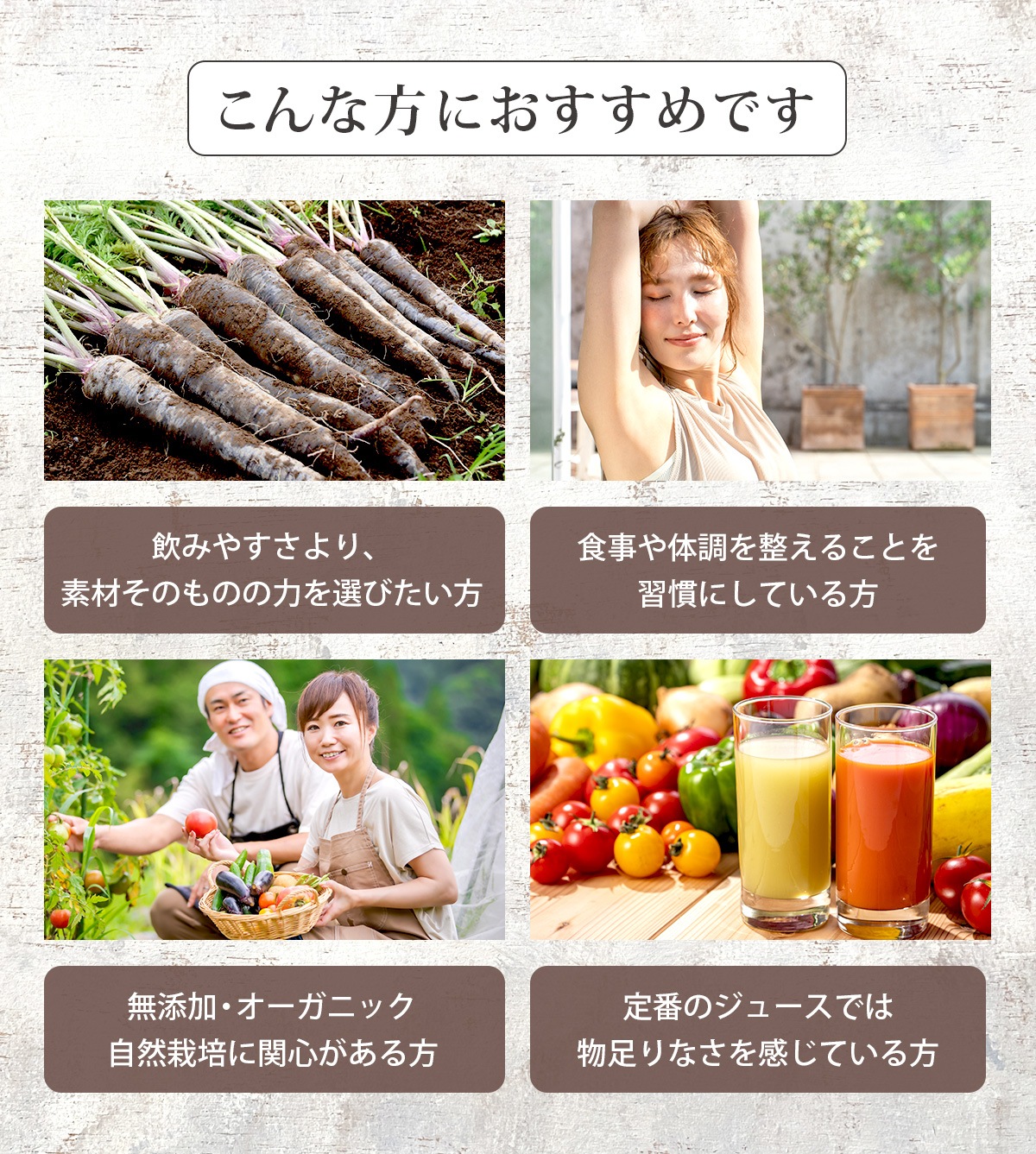 4ᤰꥸ塼å 100ml12ѥå ͻ塼 濴 ͤ碌 å