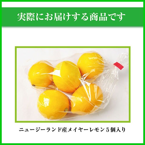 �˥塼�������ɻ� �Υ󥱥ߥ��� �ᥤ�䡼���� 5�� ������Ի���