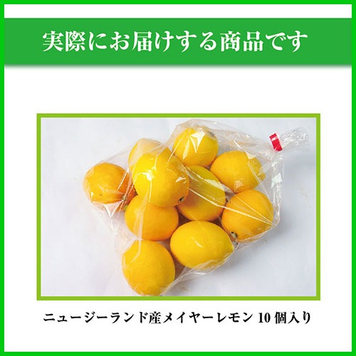 �˥塼�������ɻ� �Υ󥱥ߥ��� �ᥤ�䡼���� 10�� ������Ի���