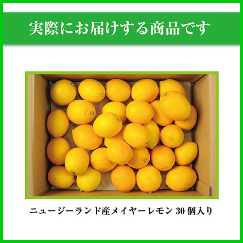 �˥塼�������ɻ� �Υ󥱥ߥ��� �ᥤ�䡼���� 30�� ������Ի���
