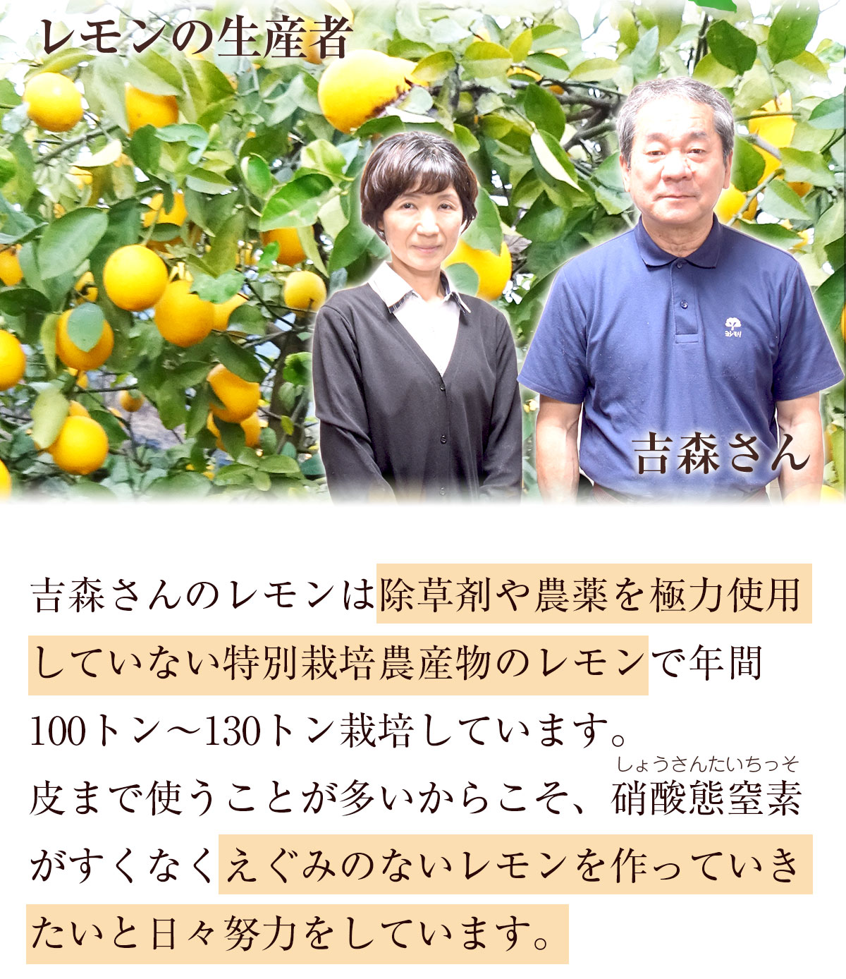 ����������� ̵ź�ÿͻ����塼�� �ˤ󤸤���󥸥塼�� ����� 1Ȣ (100ml��30�ѥå�)