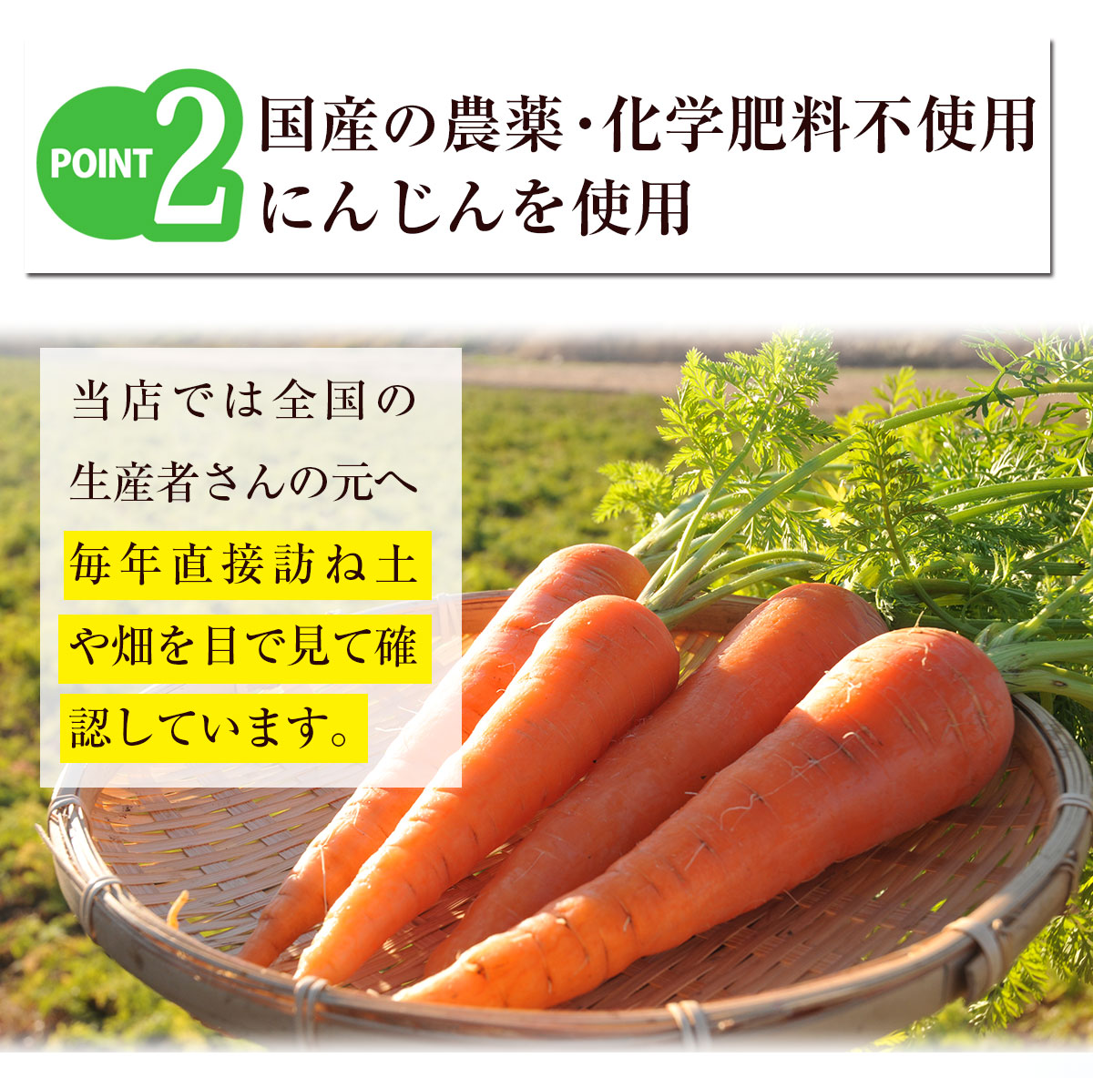 ����������� ̵ź�ÿͻ����塼�� �ˤ󤸤���󥸥塼�� ����� 1Ȣ (100ml��30�ѥå�)