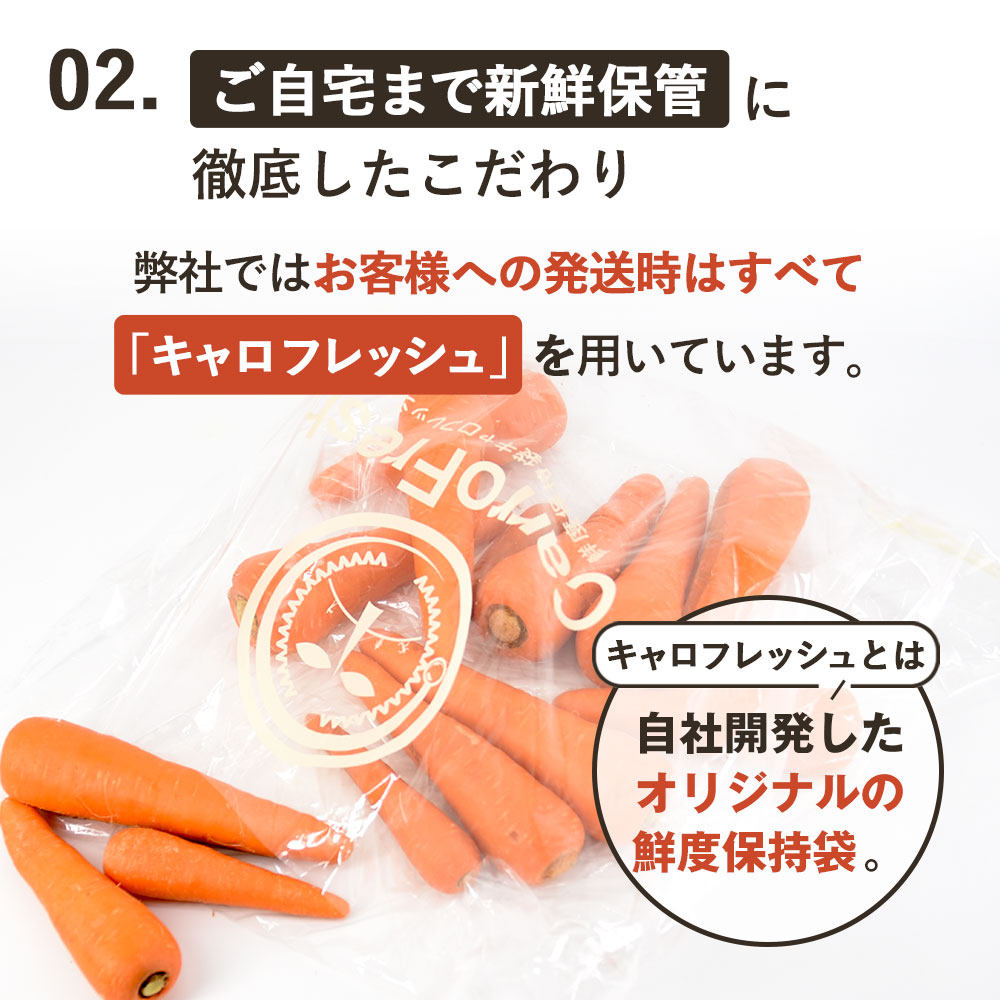   ̵ˤ󤸤  B ʳ