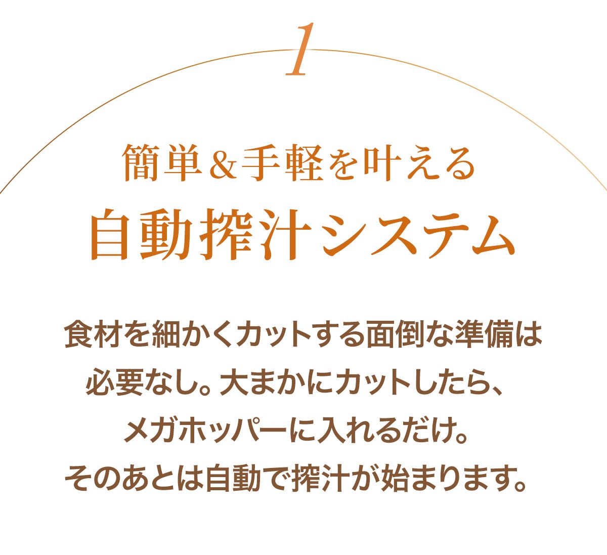 ҥ塼hurom 塼 H70ST h70st ۥ磻 1