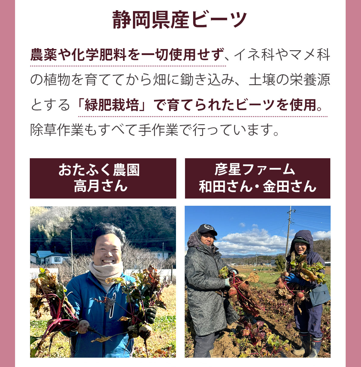 ̵ź�� �ӡ��ĥ��塼�� ���åץ�ӡ��� 1Ȣ��4Ȣ (1Ȣ������100ml��30�ѥå�)