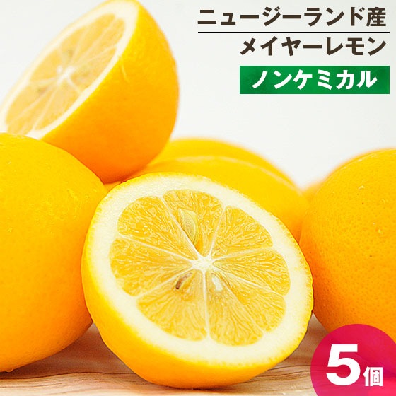 �˥塼�������ɻ� �Υ󥱥ߥ��� �ᥤ�䡼���� 5�� ������Ի���