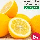 �˥塼�������ɻ� �Υ󥱥ߥ��� �ᥤ�䡼���� 5�� ������Ի���