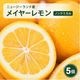�˥塼�������ɻ� �Υ󥱥ߥ��� �ᥤ�䡼���� 5�� ������Ի���