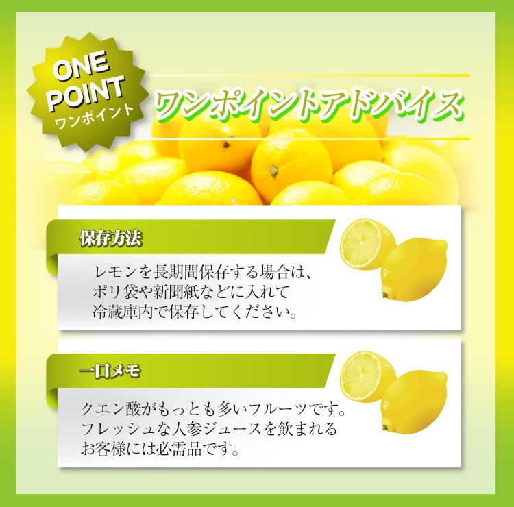 �˥塼�������ɻ� �Υ󥱥ߥ��� �ᥤ�䡼���� 10�� ������Ի���