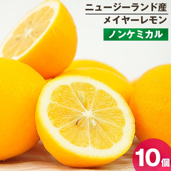 �˥塼�������ɻ� �Υ󥱥ߥ��� �ᥤ�䡼���� 10�� ������Ի���