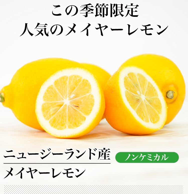 �˥塼�������ɻ� �Υ󥱥ߥ��� �ᥤ�䡼���� 10�� ������Ի���