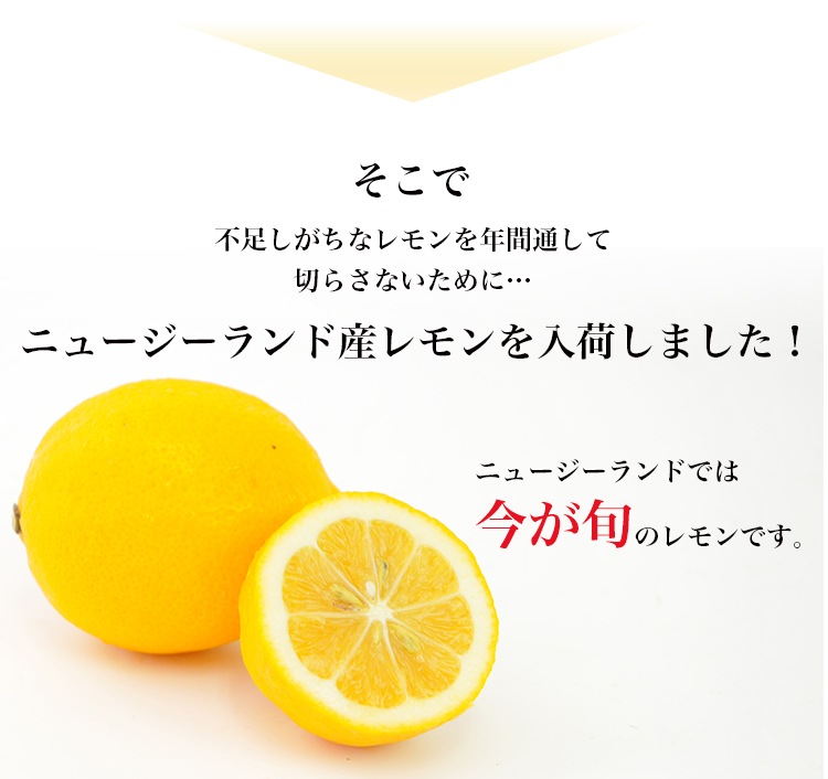 �˥塼�������ɻ� �Υ󥱥ߥ��� �ᥤ�䡼���� 10�� ������Ի���