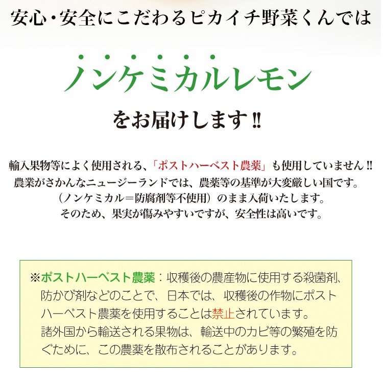 �˥塼�������ɻ� �Υ󥱥ߥ��� �ᥤ�䡼���� 10�� ������Ի���