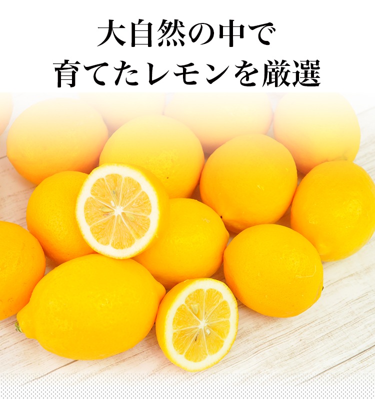 �˥塼�������ɻ� �Υ󥱥ߥ��� �ᥤ�䡼���� 10�� ������Ի���