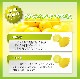 �˥塼�������ɻ� �Υ󥱥ߥ��� �ᥤ�䡼���� 10�� ������Ի���