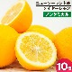 �˥塼�������ɻ� �Υ󥱥ߥ��� �ᥤ�䡼���� 10�� ������Ի���