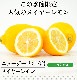 �˥塼�������ɻ� �Υ󥱥ߥ��� �ᥤ�䡼���� 10�� ������Ի���