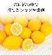 �˥塼�������ɻ� �Υ󥱥ߥ��� �ᥤ�䡼���� 10�� ������Ի���