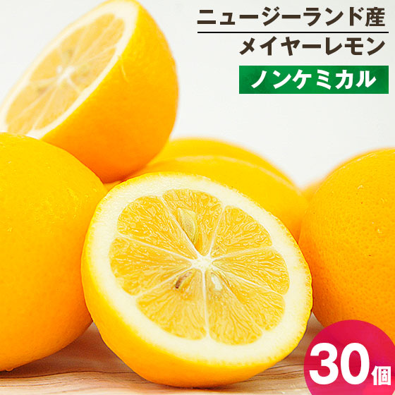 �˥塼�������ɻ� �Υ󥱥ߥ��� �ᥤ�䡼���� 30�� ������Ի���