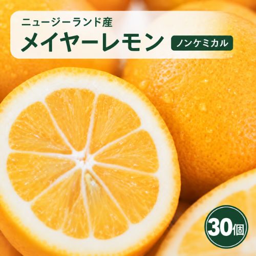 �˥塼�������ɻ� �Υ󥱥ߥ��� �ᥤ�䡼���� 30�� ������Ի���