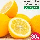 �˥塼�������ɻ� �Υ󥱥ߥ��� �ᥤ�䡼���� 30�� ������Ի���
