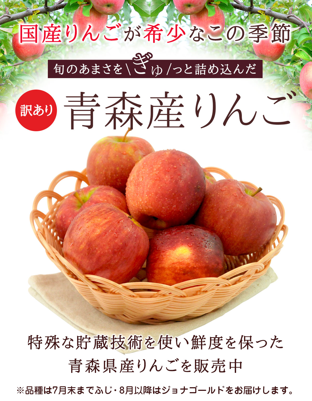 �ڹ񻺡� ������ �Ŀ����� ��� 1kg ���Ժ���