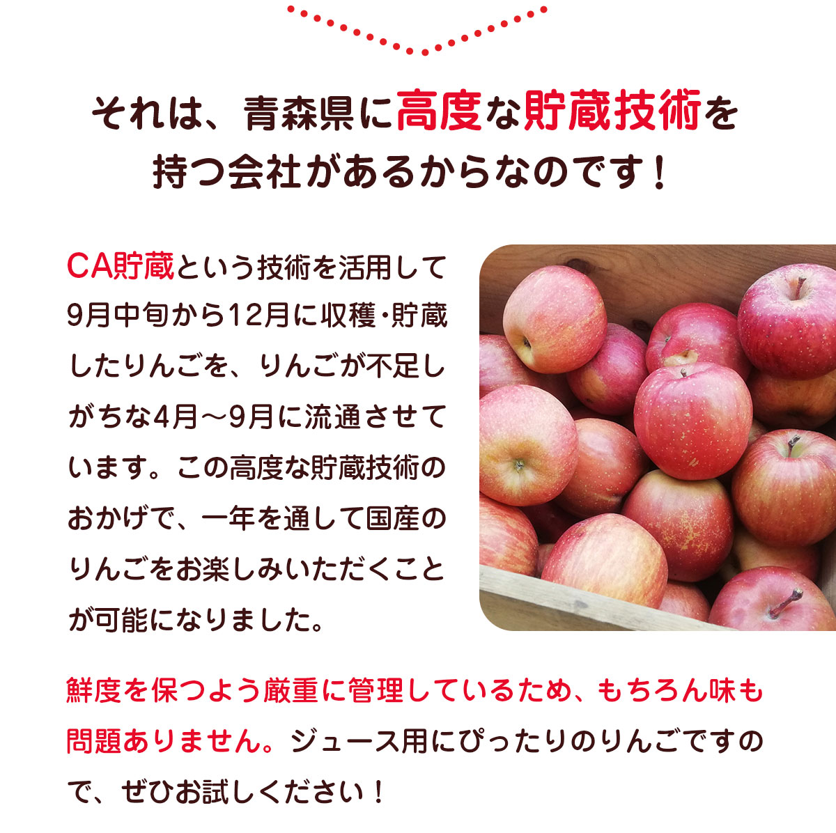 �ڹ񻺡� ������ �Ŀ����� ��� 1kg ���Ժ���